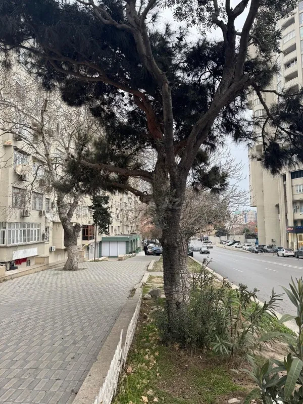 Satılır 2 otaqlı mənzil 68 m²