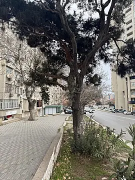 Satılır 2 otaqlı mənzil 68 m²