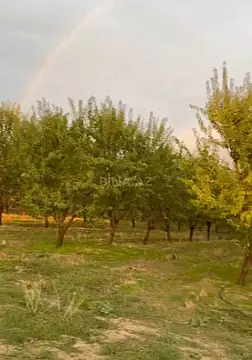 Satılır torpaq sahəsi 12 m²