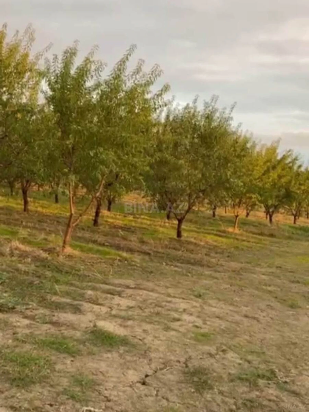 Satılır torpaq sahəsi 12 m²