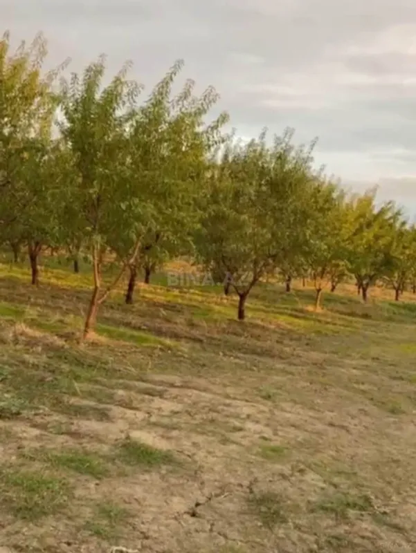 Satılır torpaq sahəsi 12 m²