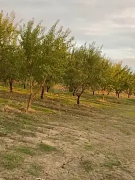 Satılır torpaq sahəsi 12 m²