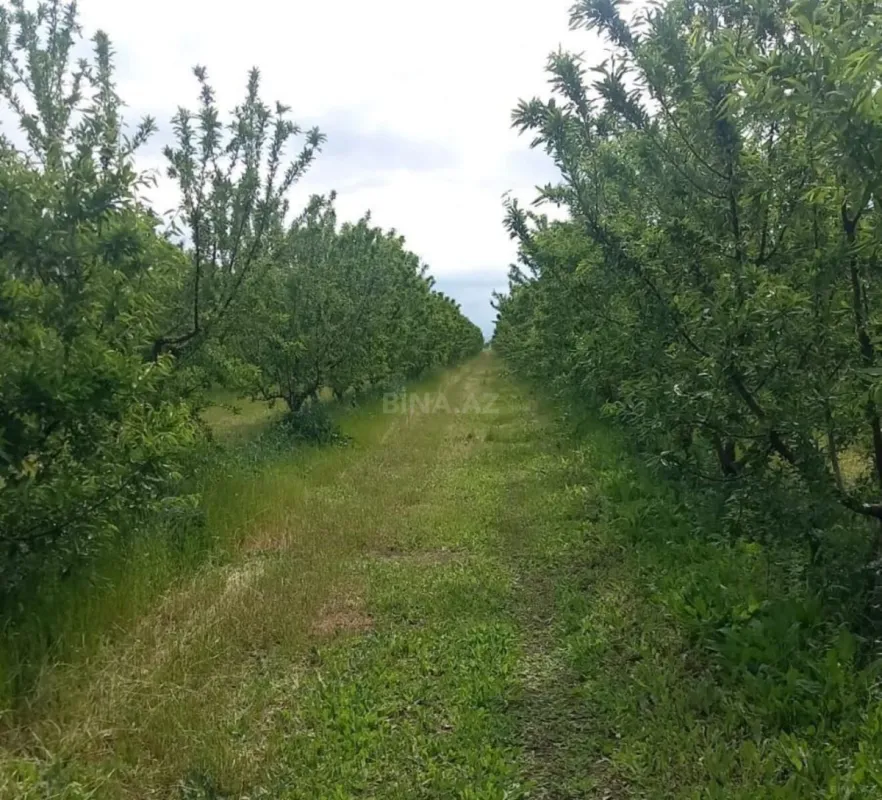 Satılır torpaq sahəsi 12 m²