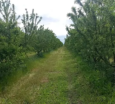 Satılır torpaq sahəsi 12 m²