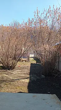 Satılır torpaq sahəsi 5 m²