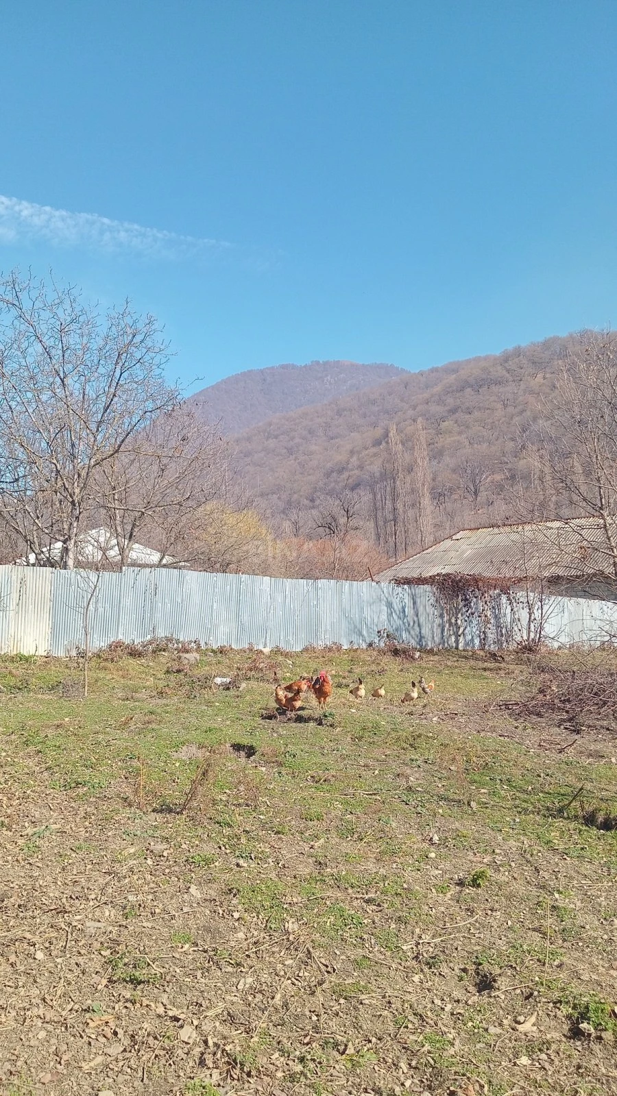 Satılır torpaq sahəsi 5 m²