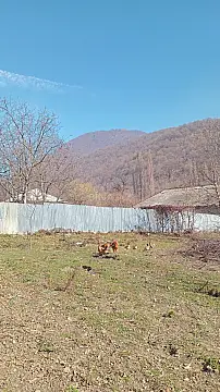 Satılır torpaq sahəsi 5 m²