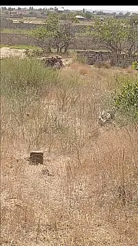 Satılır torpaq sahəsi 12 m² — Bakı, Nardaran 12.00 m²