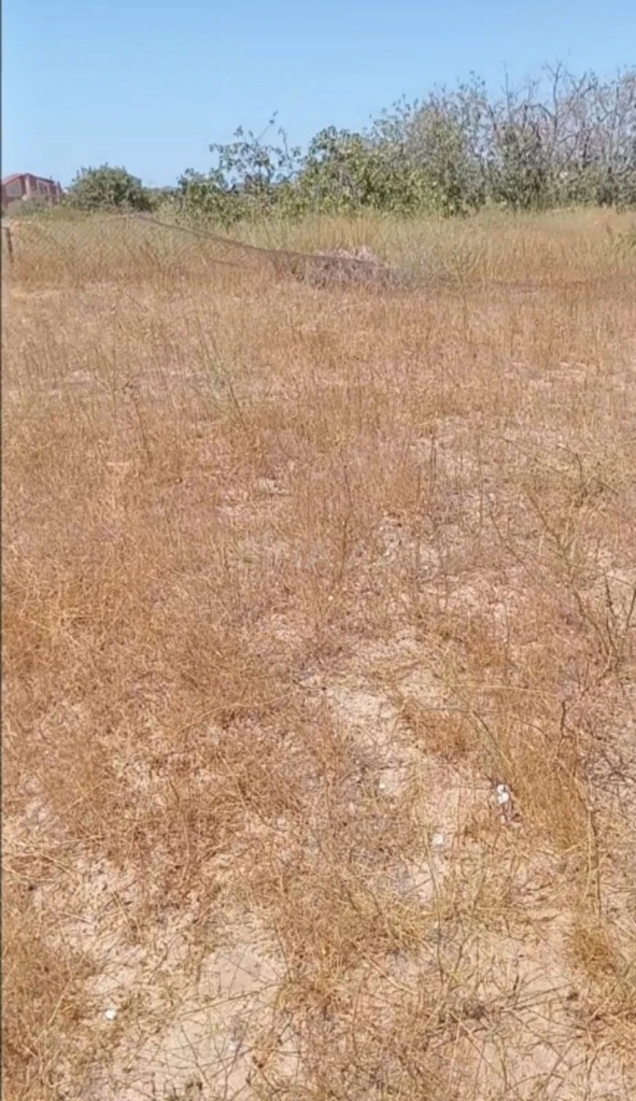 Satılır torpaq sahəsi 12 m²