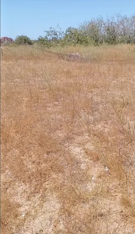 Satılır torpaq sahəsi 12 m²