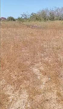 Satılır torpaq sahəsi 12 m²