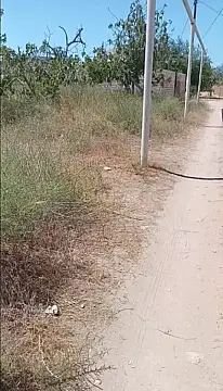 Satılır torpaq sahəsi 12 m²