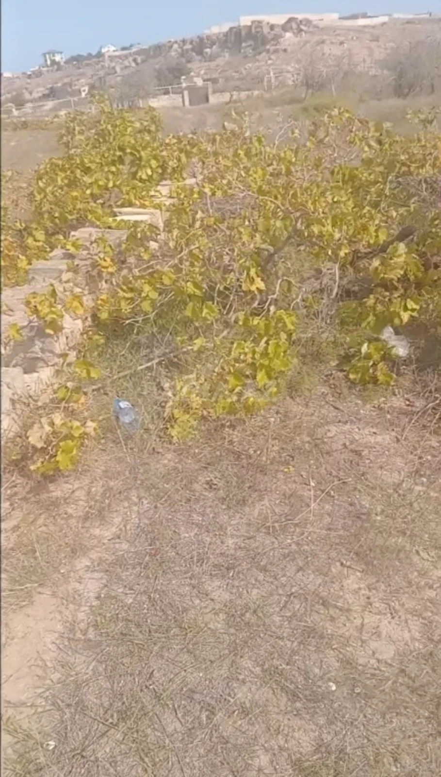 Satılır torpaq sahəsi 12 m²