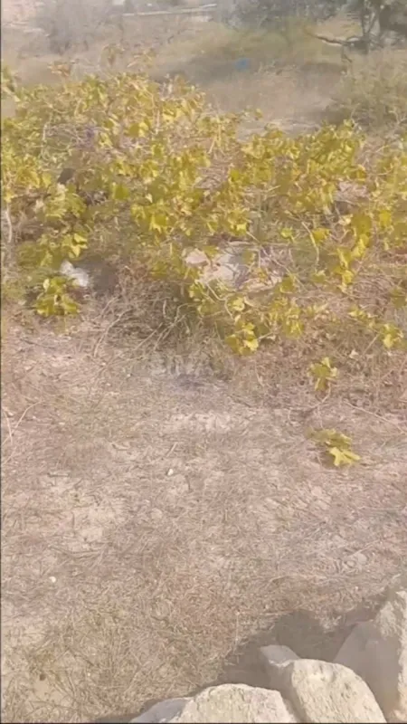 Satılır torpaq sahəsi 12 m²