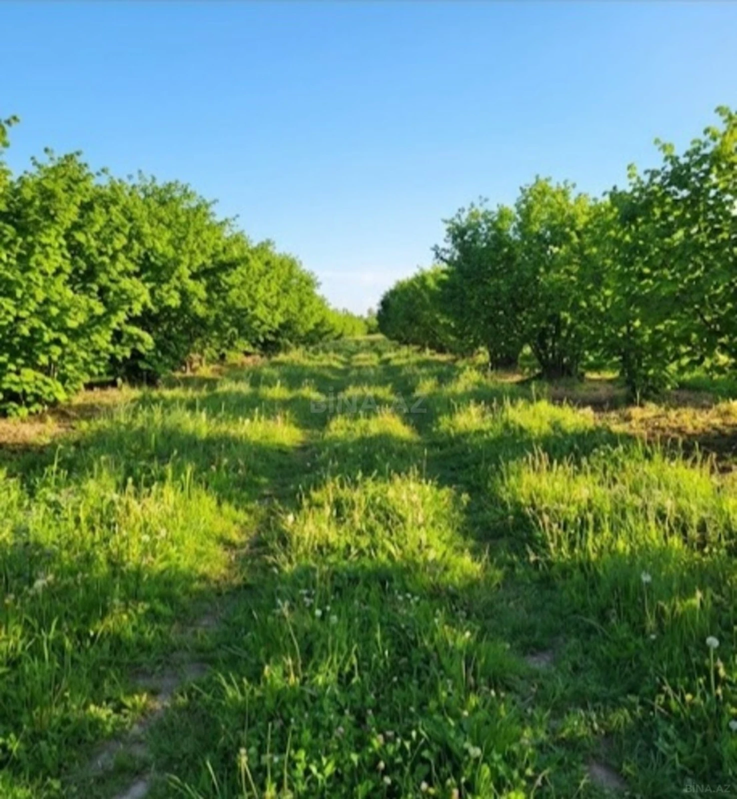 Satılır torpaq sahəsi 120 m²