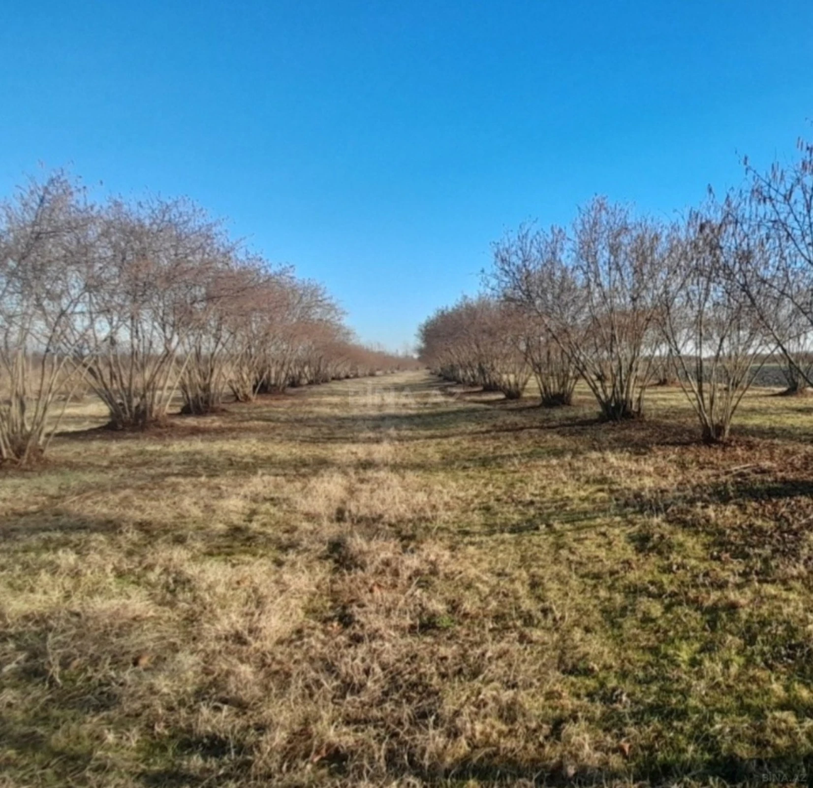 Satılır torpaq sahəsi 120 m²