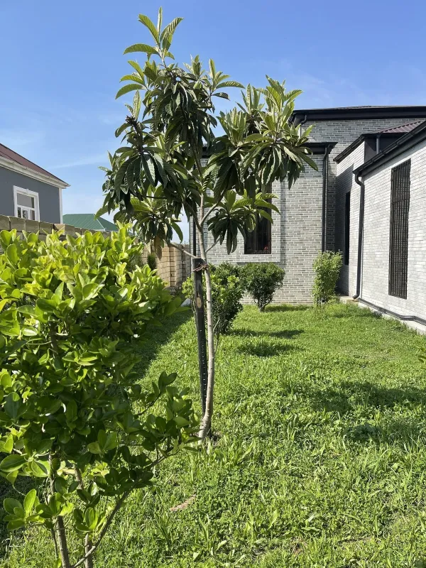 Satılır 2 otaqlı həyət evi 90 m²