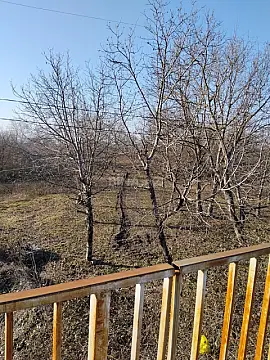 Satılır torpaq sahəsi 50 m² — Qəbələ 50.00 m²