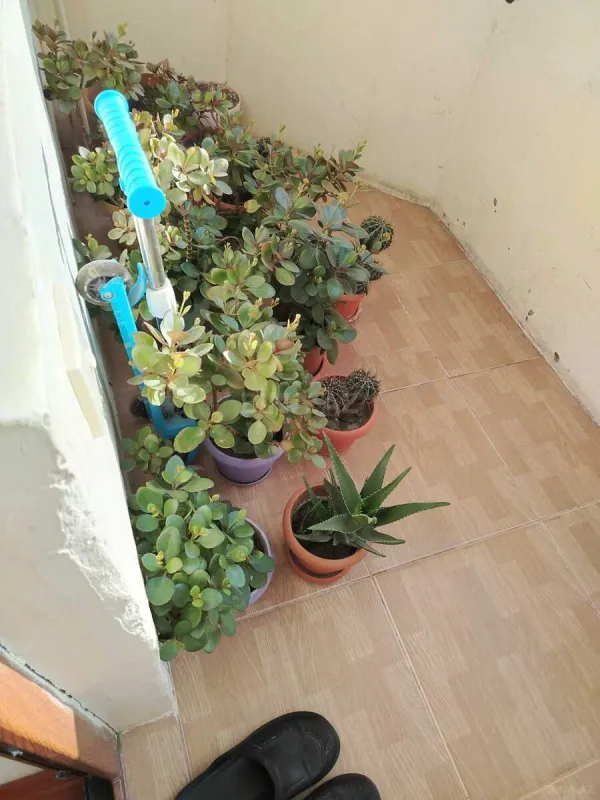 Satılır 2 otaqlı mənzil 93 m²