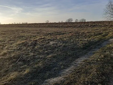 Satılır torpaq sahəsi 100 m² — Xaçmaz 100.00 m²