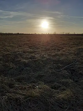 Satılır torpaq sahəsi 100 m²