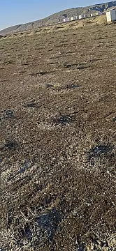 Satılır torpaq sahəsi 6 m² — Şirvan 6.00 m²