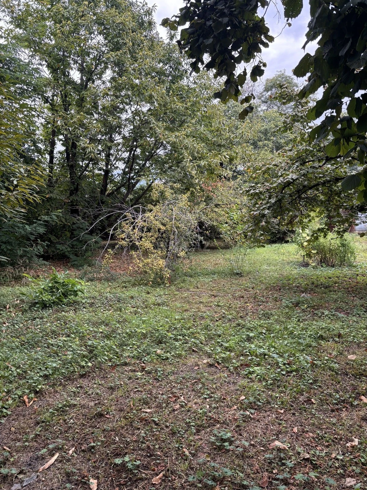 Satılır torpaq sahəsi 30 m²