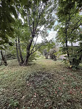 Satılır torpaq sahəsi 30 m² — Qəbələ 30.00 m²