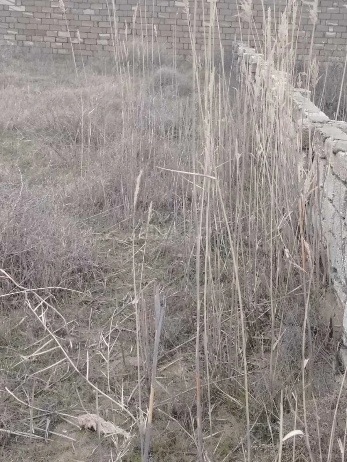 Satılır torpaq sahəsi 12 m²