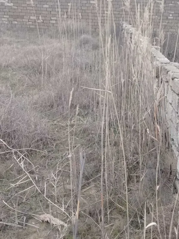 Satılır torpaq sahəsi 12 m²