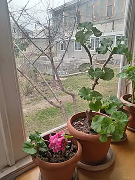 Kirayə verilir 3 otaqlı həyət evi 100 m²