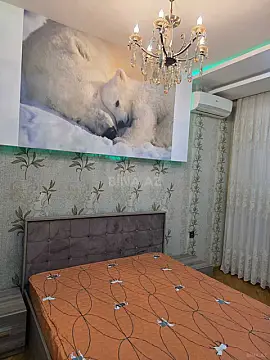 Kirayə verilir 3 otaqlı mənzil 100 m²