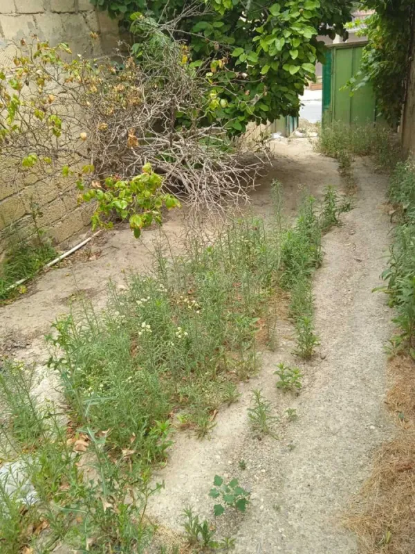 Satılır 2 otaqlı həyət evi 80 m²