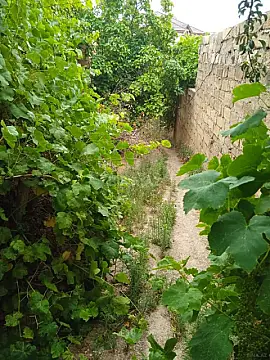 Satılır 2 otaqlı həyət evi 80 m²