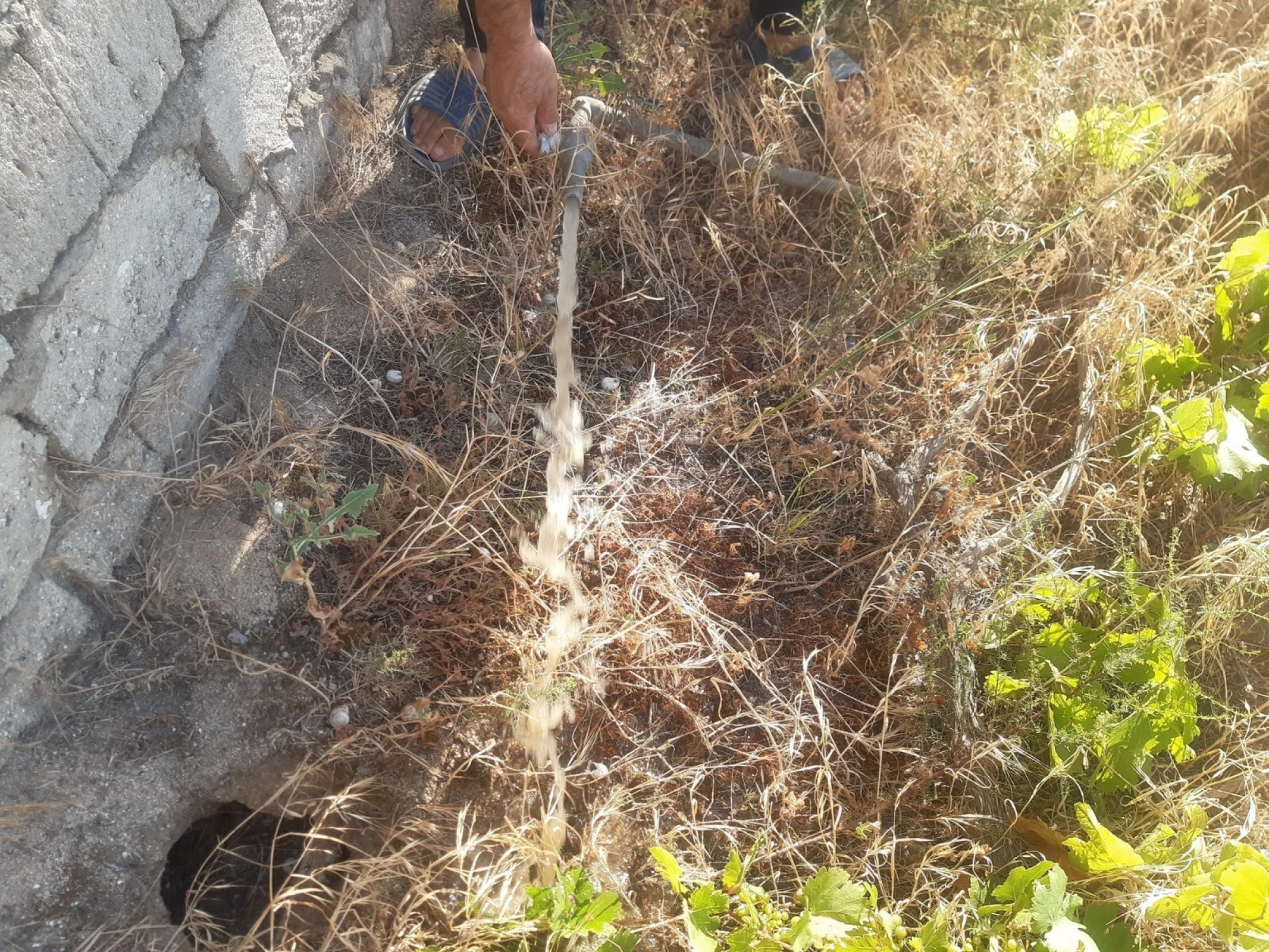 Satılır torpaq sahəsi 12 m²