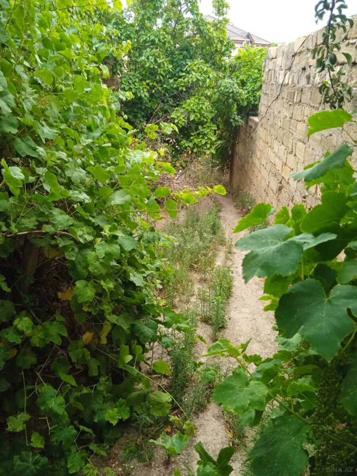 Satılır torpaq sahəsi 3 m²