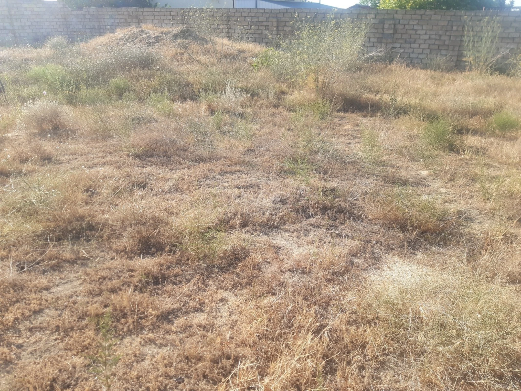 Satılır torpaq sahəsi 6 m²