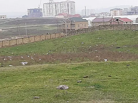 Satılır torpaq sahəsi 111 m²