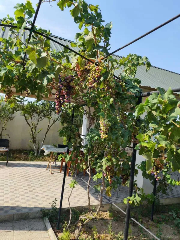 Satılır 5 otaqlı həyət evi 150 m²