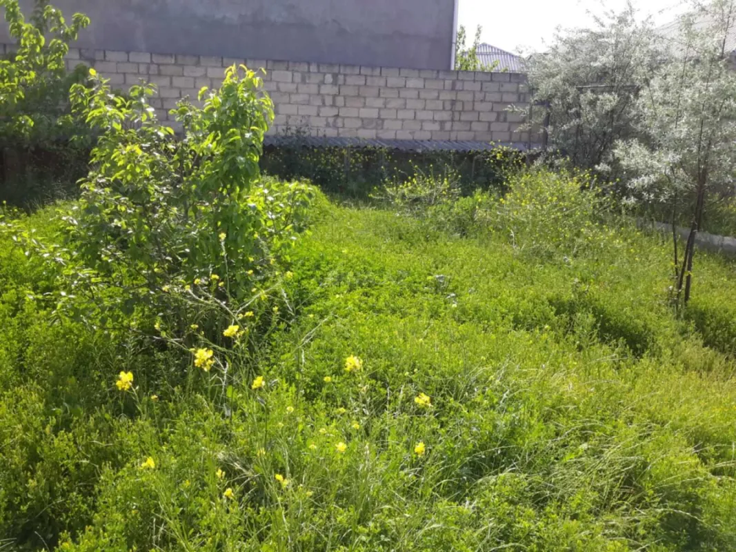 Satılır 3 otaqlı həyət evi 110 m²