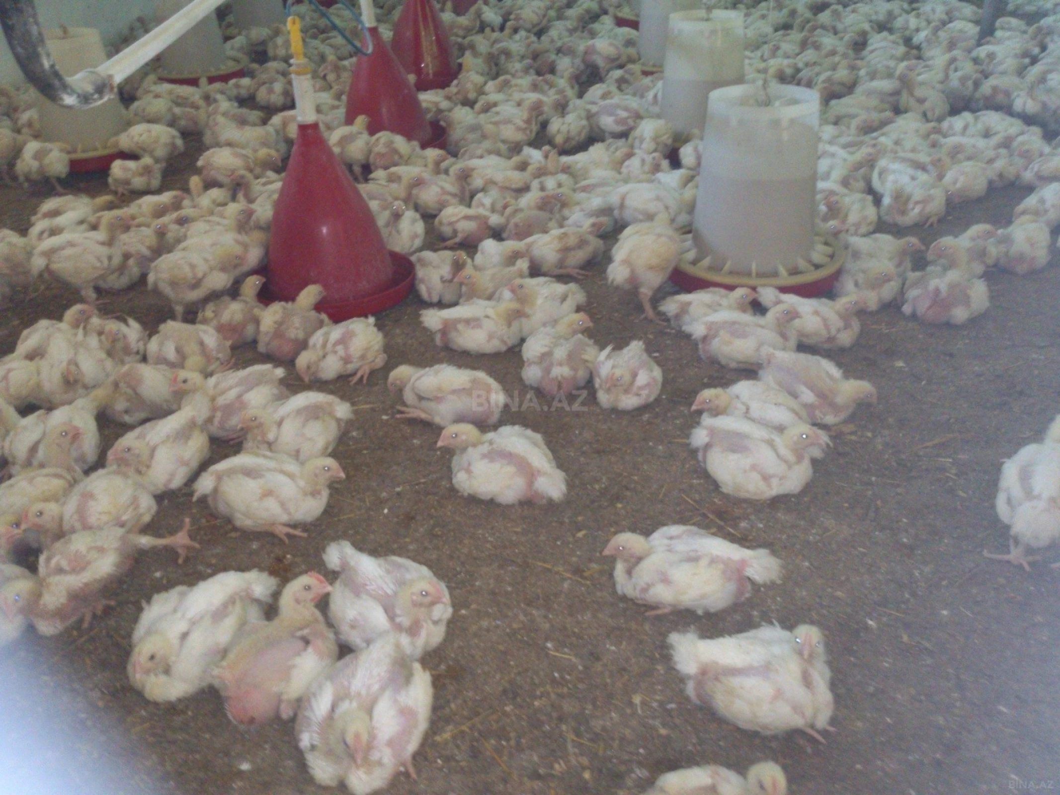 Satılır torpaq sahəsi 10 m²