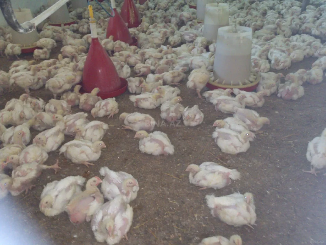 Satılır torpaq sahəsi 10 m²