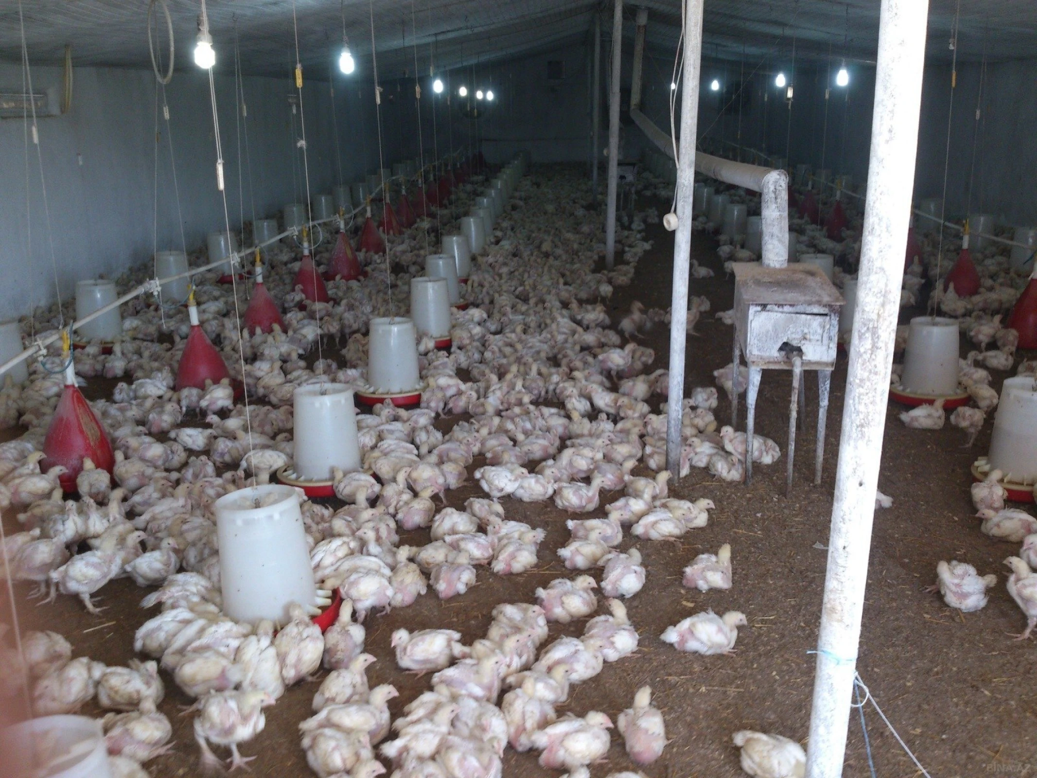 Satılır torpaq sahəsi 10 m²