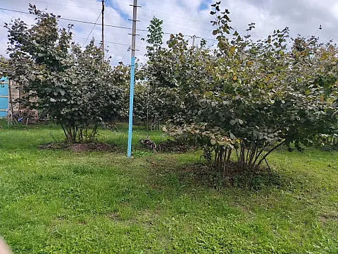 Satılır 6 otaqlı həyət evi 300 m²