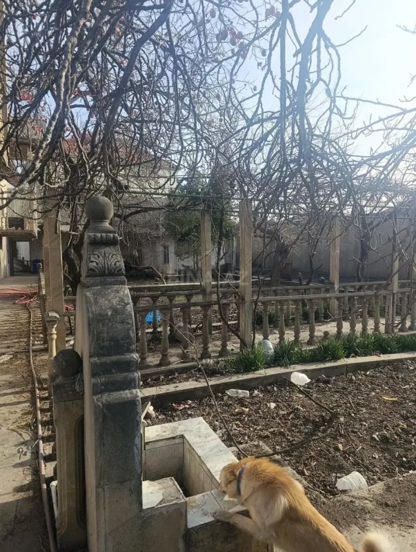 Satılır torpaq sahəsi 11 m²