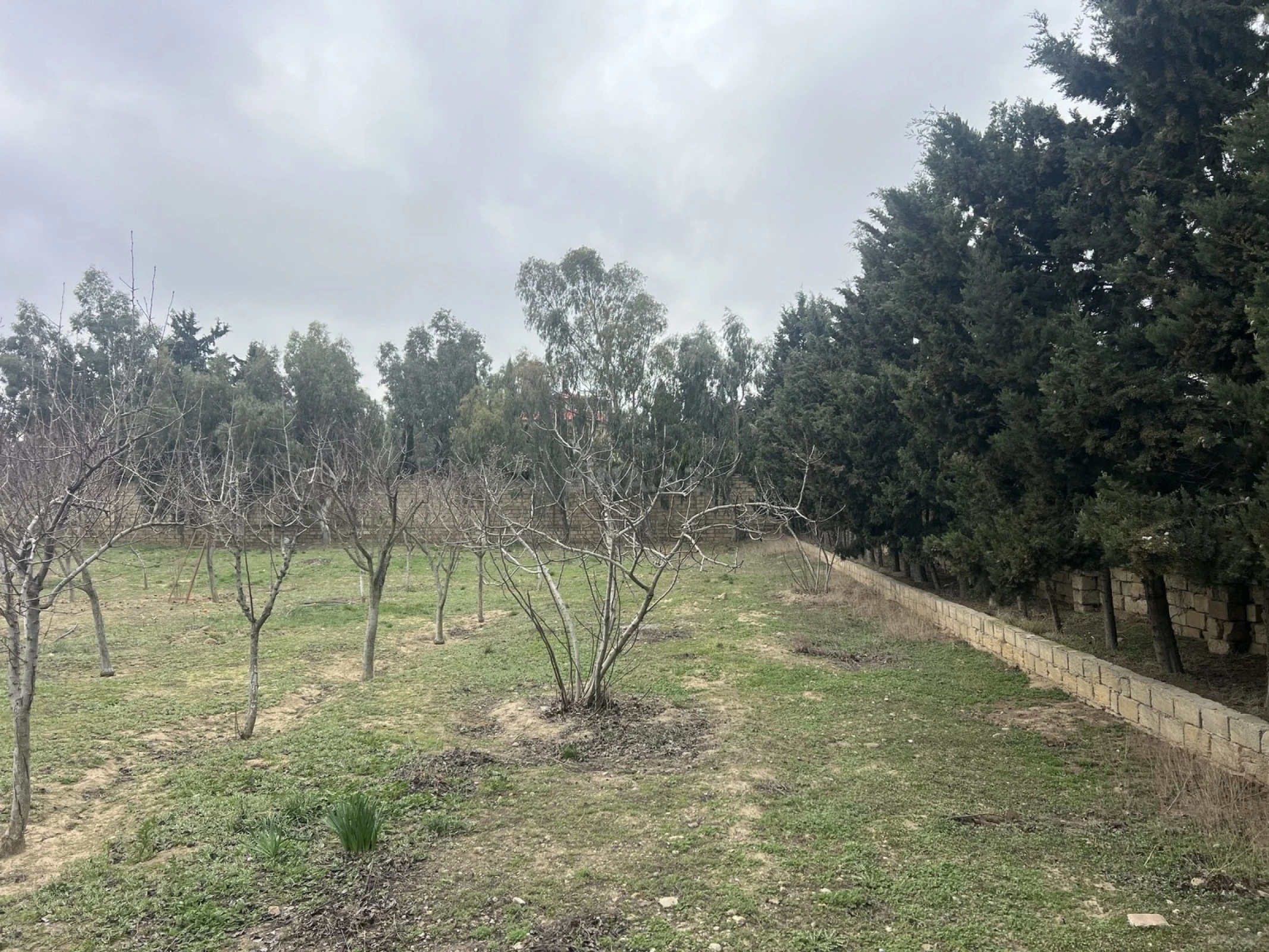 Satılır torpaq sahəsi 33.1 m²