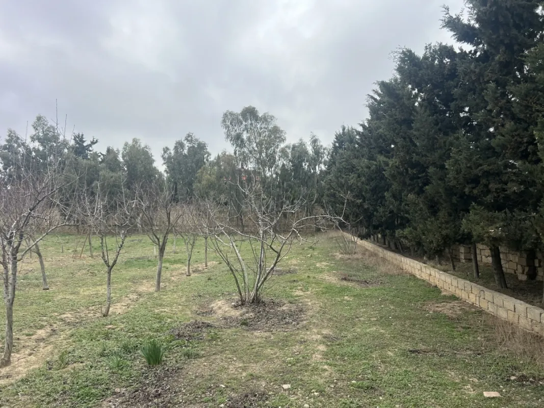 Satılır torpaq sahəsi 33.1 m²