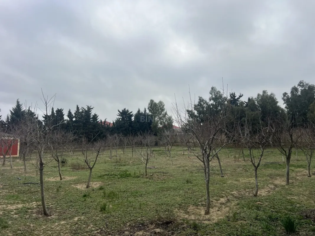 Satılır torpaq sahəsi 33.1 m²