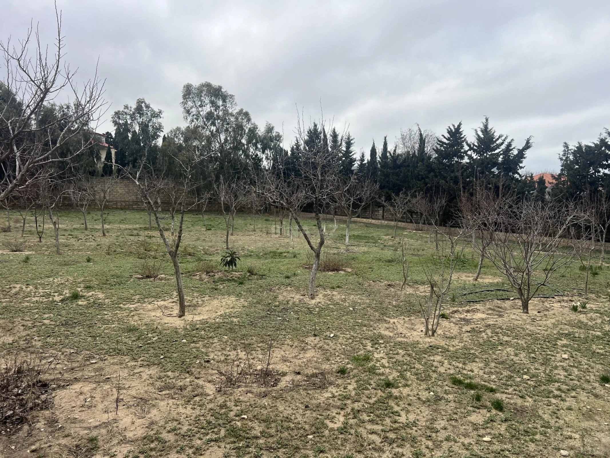 Satılır torpaq sahəsi 33.1 m²