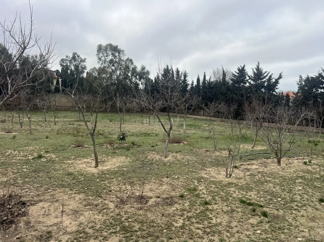 Satılır torpaq sahəsi 33.1 m²